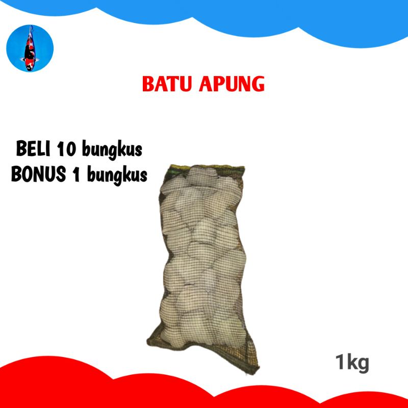Batu apung pomiche stone media filter kolam ikan koi penjernih air kolam ikan