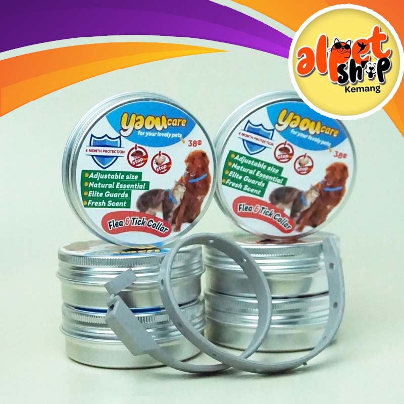 YAOU Kalung Kucing Collar Cat Obat Anti Kutu Murah Bagus