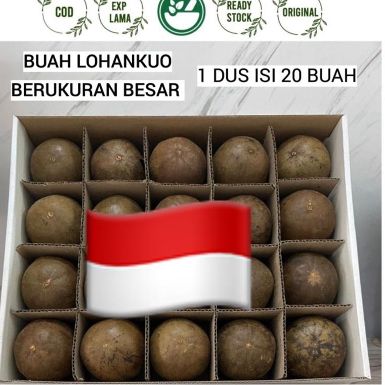 

➵ LOHANKOU LO HAN KOU BUAH 1 BUAH ECERAN / Lohan kuo 1 pcs ゅ