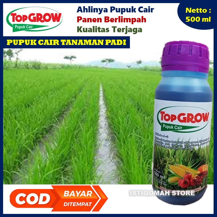 Pupuk Pelebat Bunga Dan Buah Kacang TOP GROW 500ML  Pupuk NPK Cair untuk Mempercepat Pertumbuhan Tanaman, Meningkatkan Kualitas dan Kuantitas Tanaman Sehingga Menghasilkan Buah Kacang Panjang yang Maksimal Bagus Murah