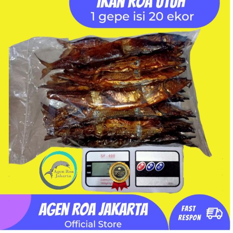 

✨11.11✨ Ikan Roa asap Utuh 1 gepe isi 20 ekor ikan Roa / Roa / Ikan Roa