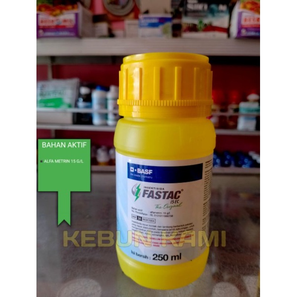 FASTAC 15 EC 250 ML