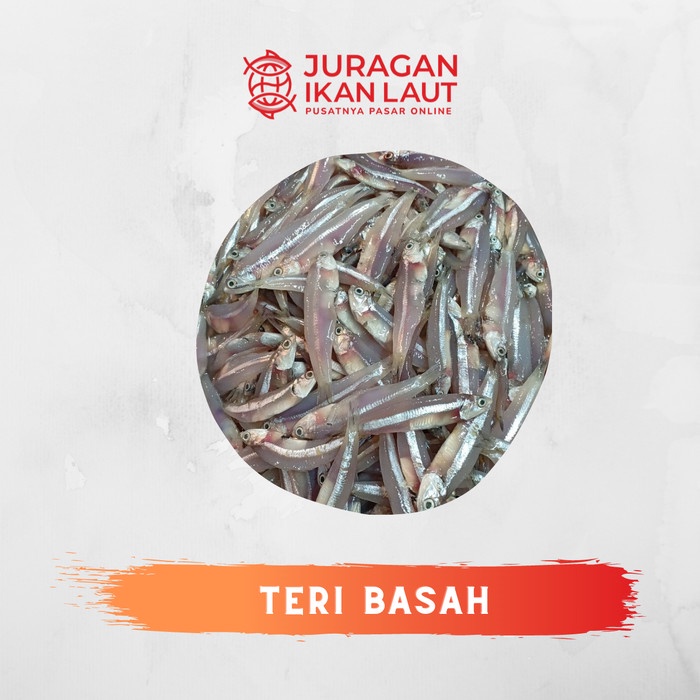 

Ikan Teri Basah Segar Berkualitas - 500 Gram