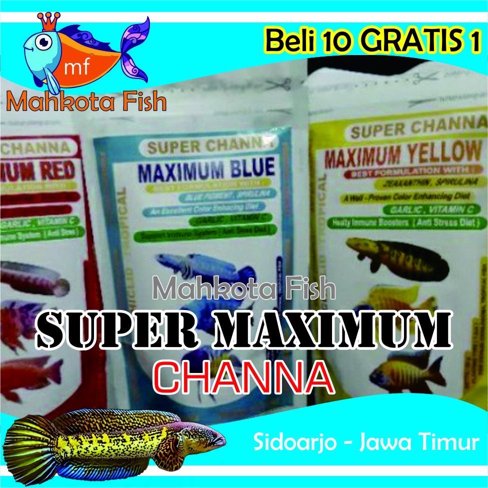 SUPER MAXIMUM Chana | Pelet Ikan Chana | Pakan Warna Chana | Premium Blue, Premium Yellow, Premium Red | Cana | Channa | Pakan Predator