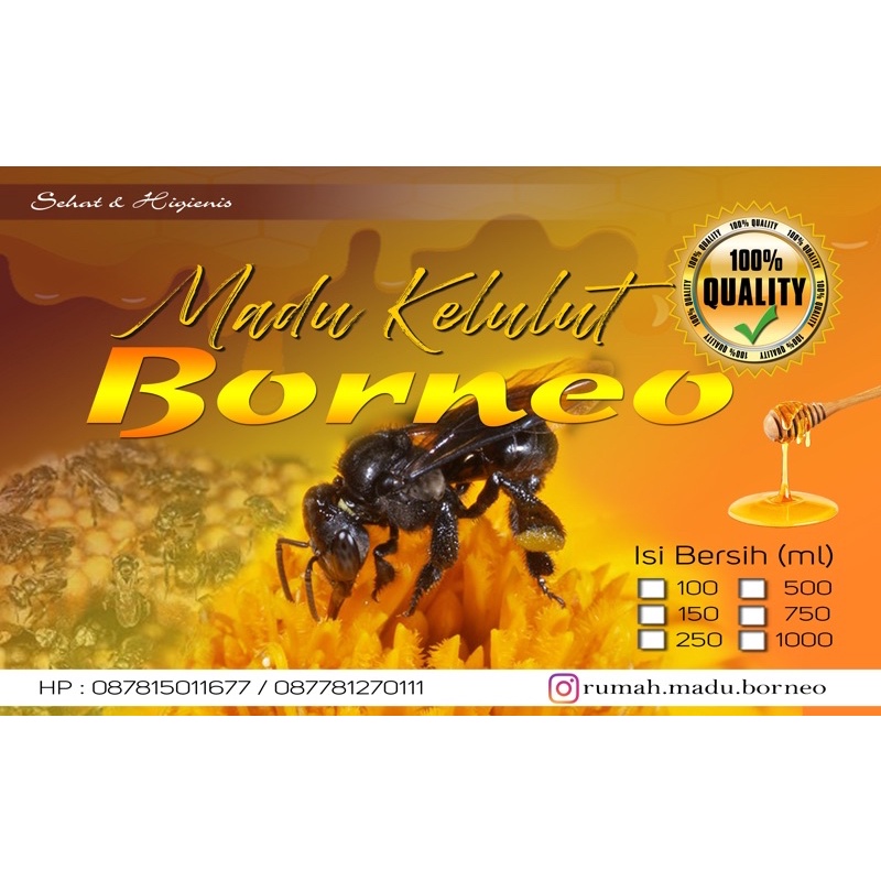 

Madu Kelulut asli dari kalimantan tengah