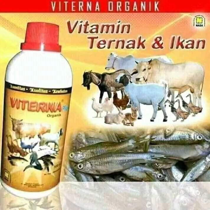 VETERNA PLUS VITAMIN TERNAK-PENGGEMUK TERNAK ALAMI NASA