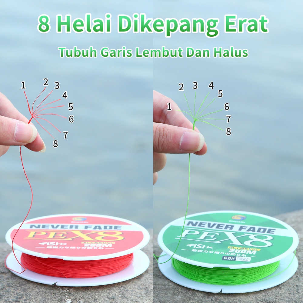 Senar Pancing x8 PE 200m Jepang Never Fade Jalinan Fishing Line Super Kuat Tahan Bahan