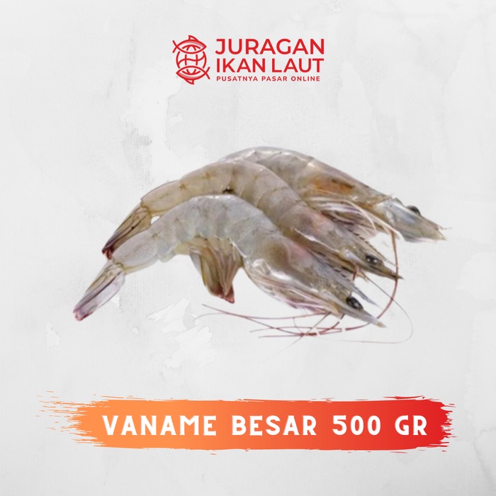 

Udang Vaname Besar Segar Berkualitas - 500 Gram