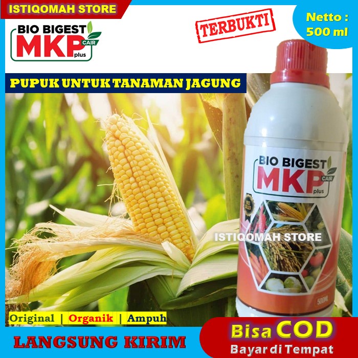 Pupuk Pembesar Buah Jagung Terbaik BIO BIGEST 500ML Pupuk Penyebur Daun dan Buah Jagung - Pupuk Pembobot Buah Jagung - Pupuk Cair Pembesar Buah Tanaman Jagung - Pupuk Cair Perangsang Buah Jagung yang Bagus dan Ampuh