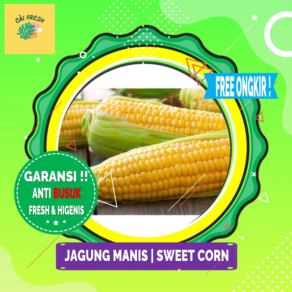 

Cai Fresh - Jagung Manis | Sweet Corn 1 Pcs