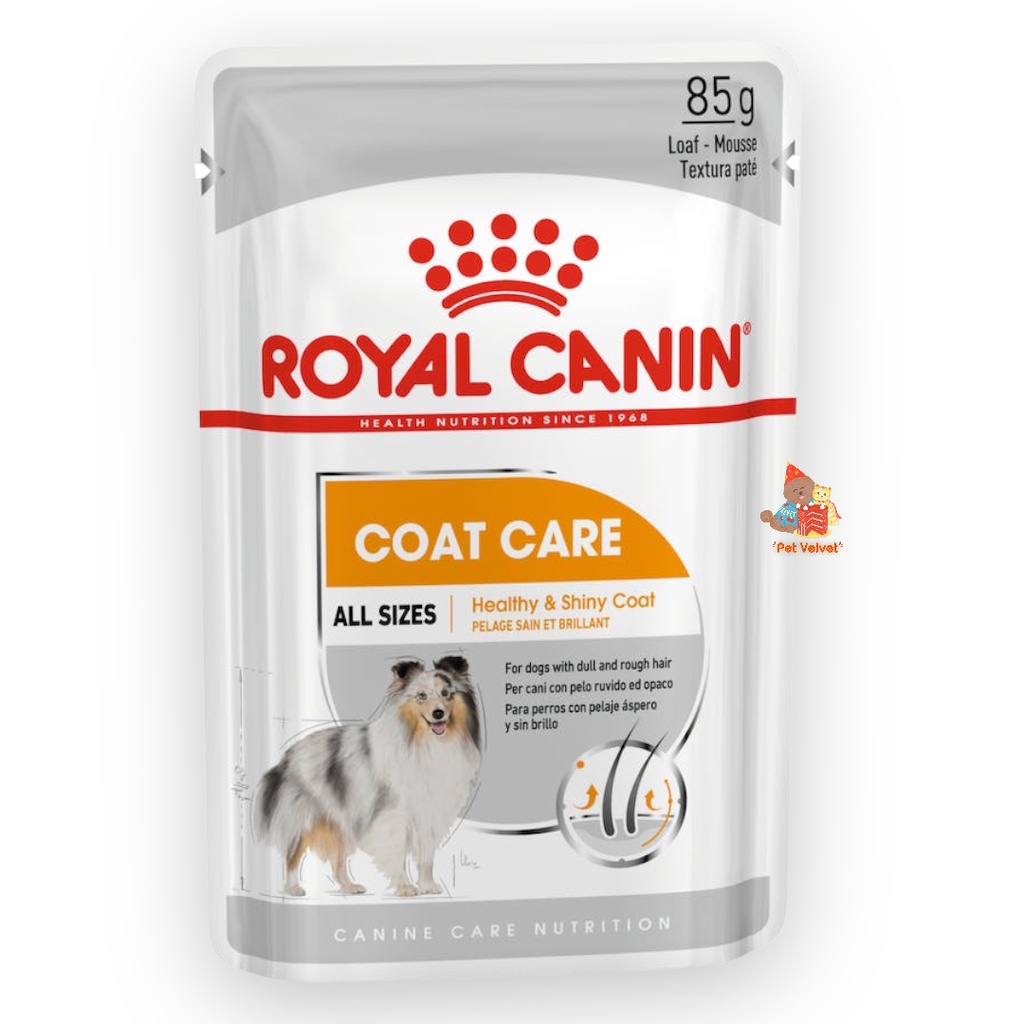 Royal Canin Coat Care (Beauty) All Size Adult Dog Wet 85g (Pouch)