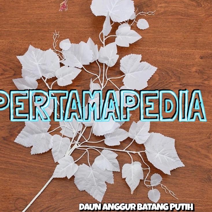 Modern.. Harga Lusinan Daun Anggur Batang/ Daun Dekorasi/ Bunga Dekorasi/ Daun Rambat Plastik/ Busa 