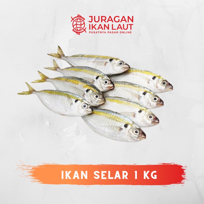 

Ikan Selar Segar Fresh Berkualitas - 1 Kilogram