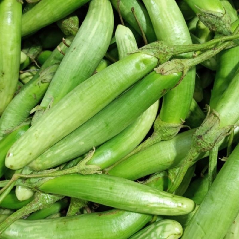 

Terong Telunjuk Muda Segar 250 gram