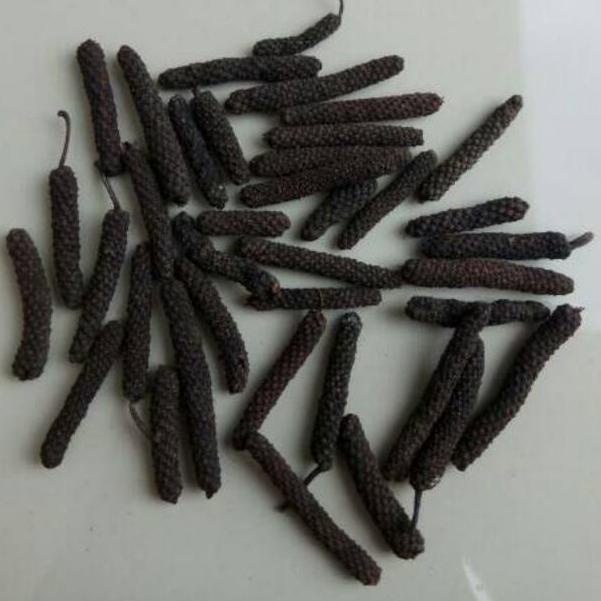 

↧↨ Cabe Jamu / Cabe Jawa / Cabe Puyang / Long Pepper Asalan Murah 1 Ons ⇞
