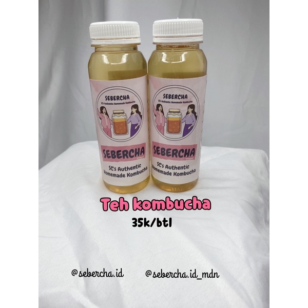 

teh kombucha