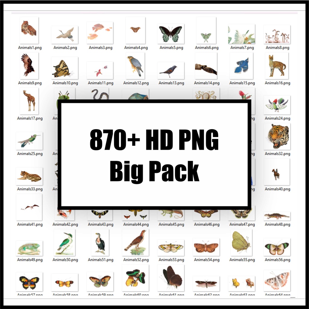 870+ HD PNG Big Pack