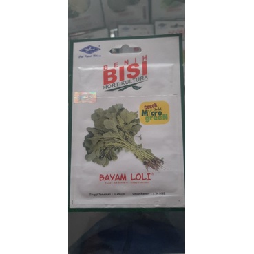 Benih Bayam Loli bisi