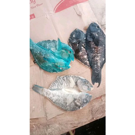 

Ikan Asin Keleng Mogo / Kakaktua 1kg