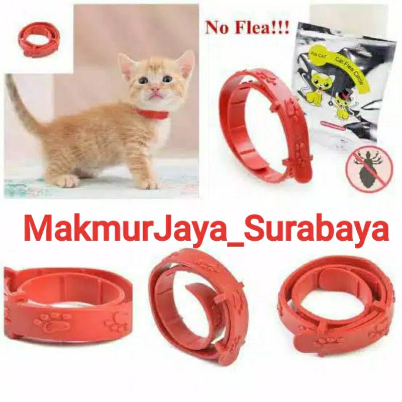 Kalung kutu kucing / kalung anti kutu kucing / aksesoris kucing / obat kutu kucing