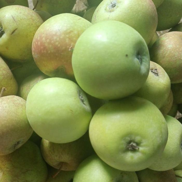❦ buah Apel Termurah manalagi/apel malang fress 1kg (15-22buah) ➣