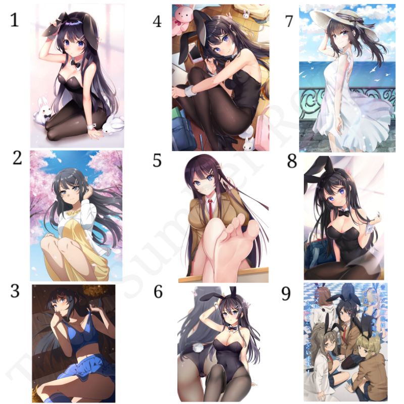 Poster Figure Rascal Bunny Girl Paper Sakurajima Mai School Beach Sexy