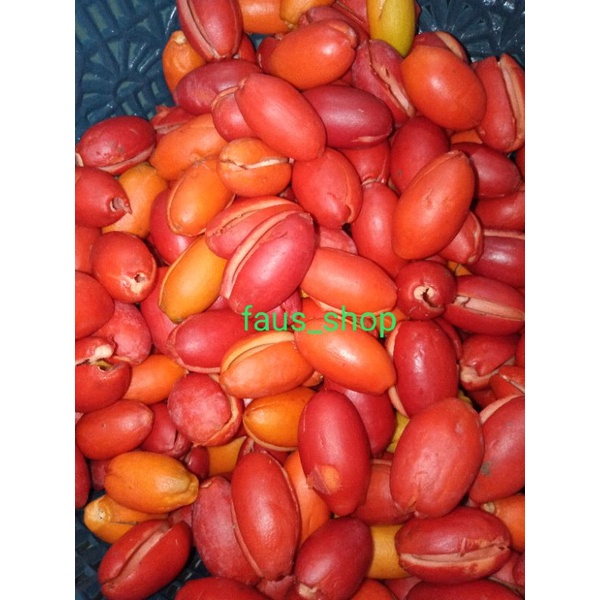 

Kulit melinjo freshh