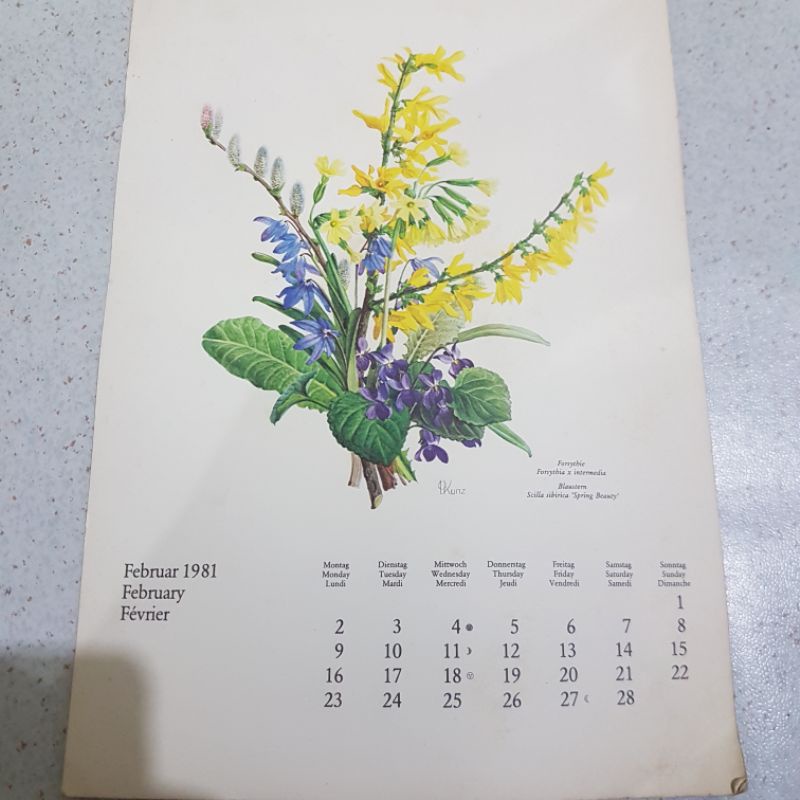 

Kalender asli cetakan 1981 Jerman bulan Februari 1981 gambar bunga
