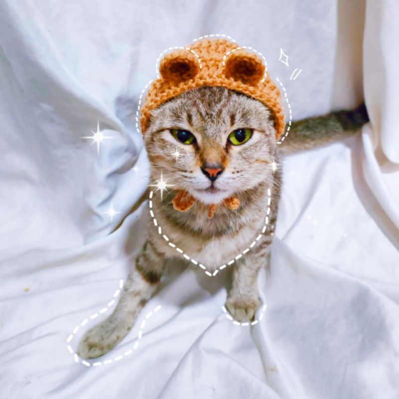 TOPI KUCING RAJUT HANDMADE AKSESORIS HEWAN TOPI BUCKET HAT BONET KUCING