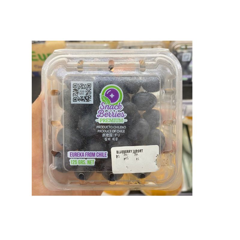 

blueberry import chille | buah blueberri import | pack