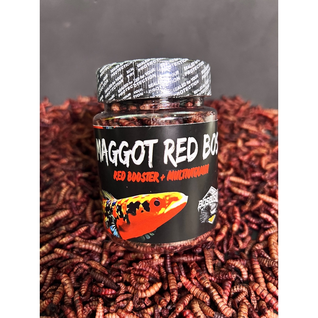 MAGGOT RED (MERAH) @BOS BOS QU GRADE A+ FREE STIKER ( NEW FORMULA) 30 GRAM