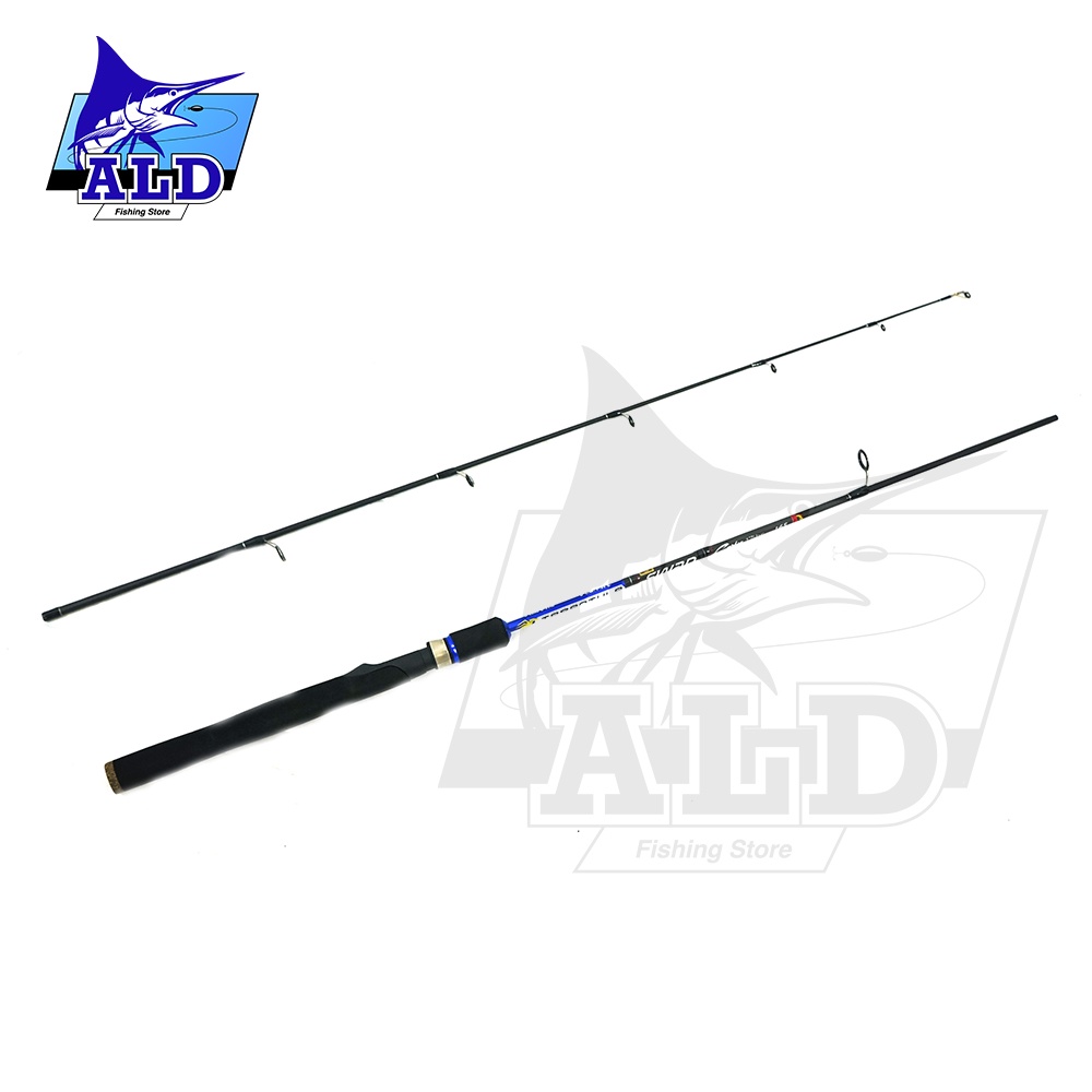 Joran Pancing Swan Tarantula 165