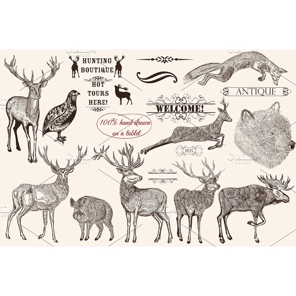 Bundle From Vector Engraved Animals