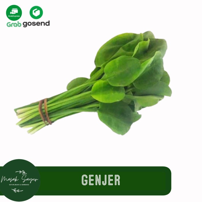 

sayur segar genjer 1 ikat