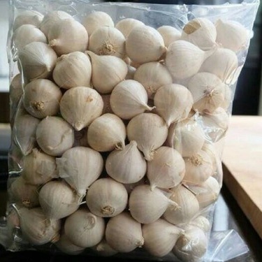 

MURAH JAMU BAWANG LANANG - BAWANG PUTIH TUNGGAL - SOLO GARLIC 1 KG