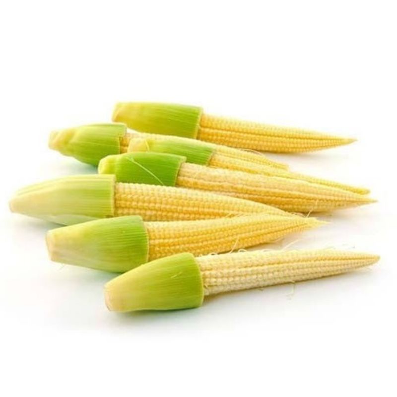 

BABY JAGUNG FRESH - CORN BABY 250 GRAM SAYURAN