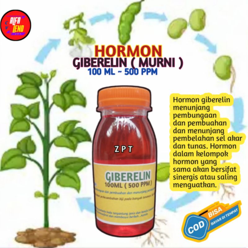 Hormon Giberelin Murni GA-3 ZPT zat pengatur memperbanyak bunga dan buah anti rontok 500ppm 100ml