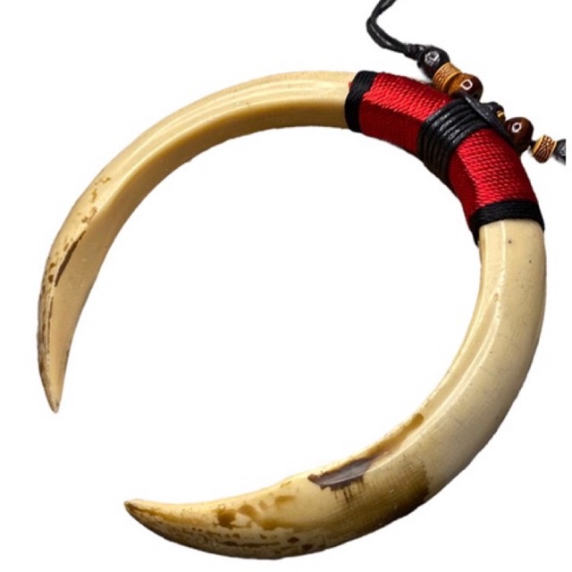 kalung taring sepasang replika kalung taring babi