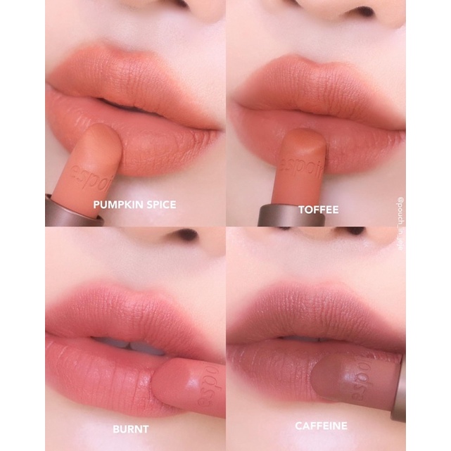 Espoir No Wear Dusky Brown Collection Lipstick