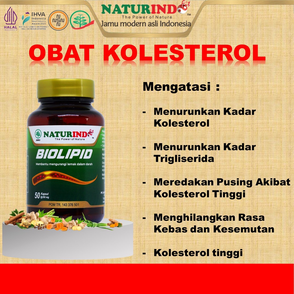 Obat Kolesterol dan Asaam Urat Kolestrol Tinggi Trigliserida Tinggi
