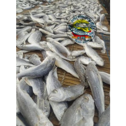 

한국 Ikan asin kepala batu-500gram Miliki