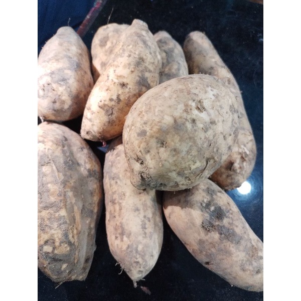 

UBI CILEMBU PILIHAN FRESH 1KG