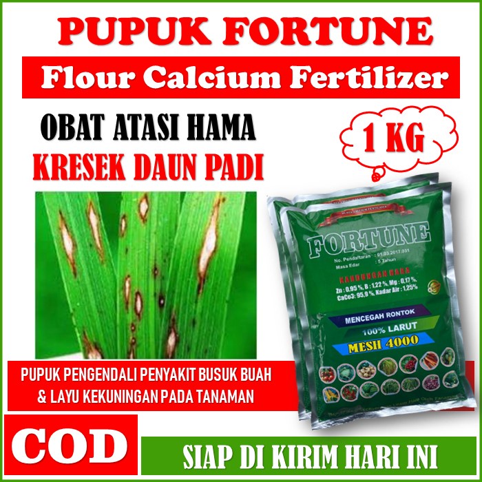 PROMO Obat Kresek Daun Padi FORTUNE 1 Kg - Pupuk Kalsium FORTUNE Obat Atasi Kresek, Bercak, Blas Dau