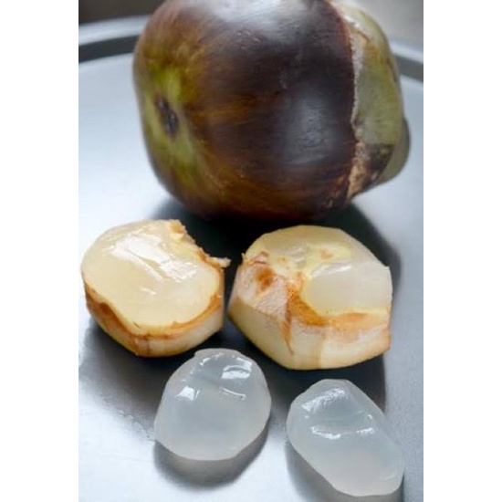 BUAH LONTAR BANDUNG | BUAH SEGAR BANDUNG | WARUNG CEU ENGKAY