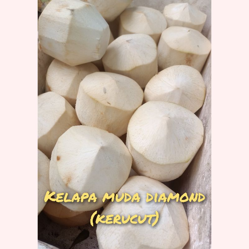 

Kelapa Muda