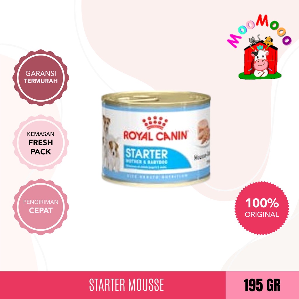 Royal Canin Starter Mousse Mother &amp; Baby Dog 195gr - Makanan Anjing