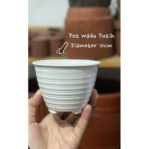 POT TAWON PUTIH / POT MADU PUTIH / POT PLASTIK