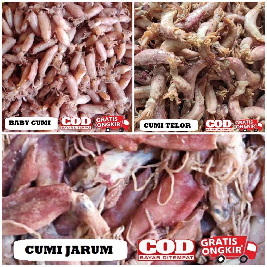 

Cumi asin 100 gram / Cumi telor / cumi jarum / cumi pen / baby cumi