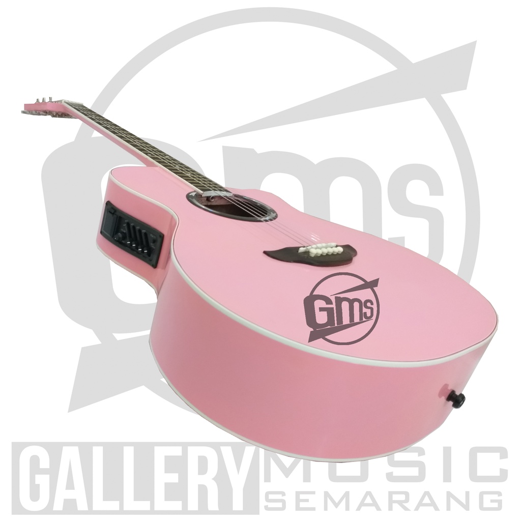 Gitar Akustik Elektrik APX 500II Custom Standart Paket Super Komplit