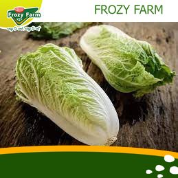 

Sayur Sawi Putih Segar 500gr Medan | Frozy Farm (termurah)